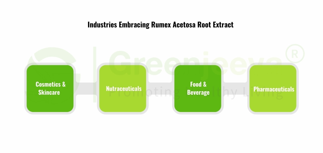 Rumex Acetosa Root Extract 